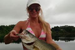 Bigg bass